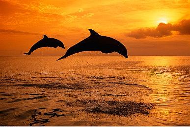 校园恐怖游戏《白色情人节》携服装DLC登陆新主机